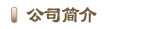 公司简介