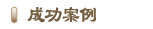 成功案例